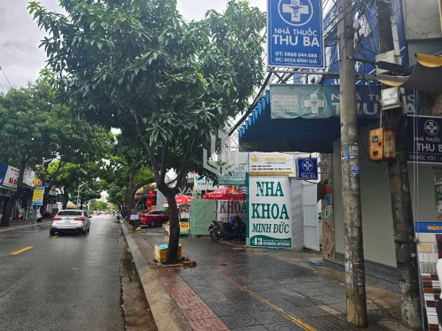 Bất động sản tại TP. Hồ Chí Minh - ảnh 1