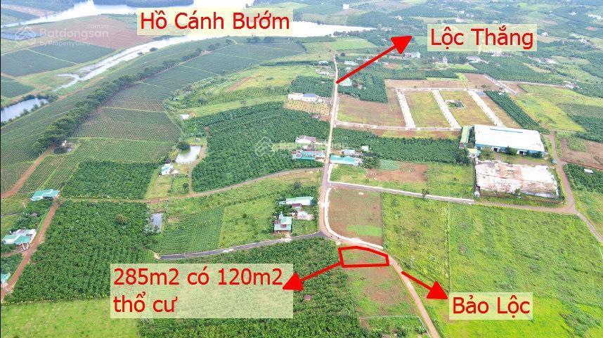 Bất động sản tại Lâm Đồng - ảnh 1