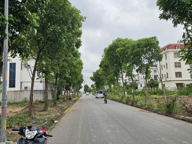 Bất động sản tại Bắc Ninh - ảnh 1