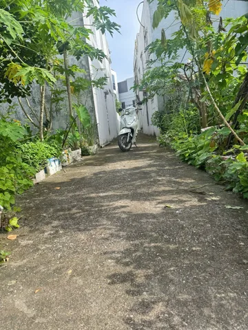 Bất động sản tại Hải Phòng - ảnh 1