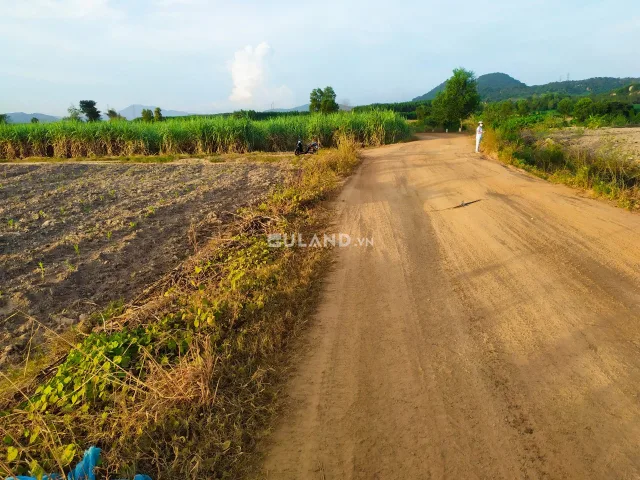 Bất động sản tại Lâm Đồng - ảnh 1