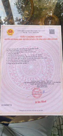 Bất động sản tại Đắk Lắk - ảnh 1