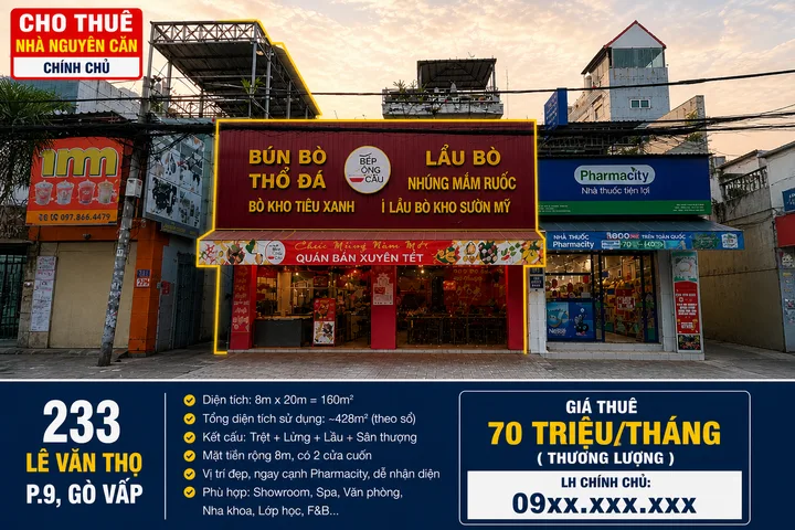 Bất động sản tại TP. Hồ Chí Minh - ảnh 1