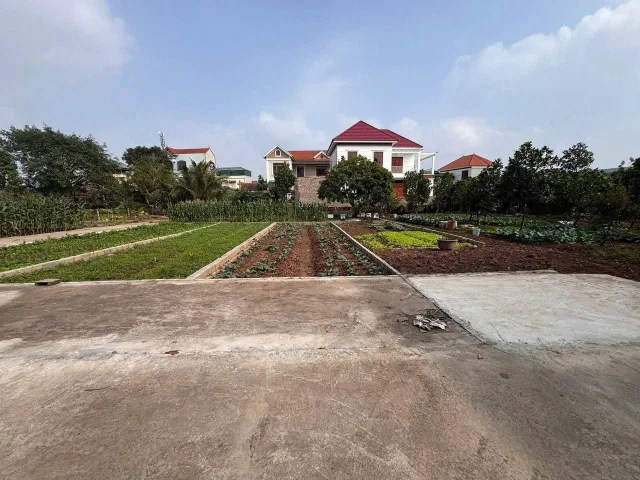 Bất động sản tại Hưng Yên - ảnh 1