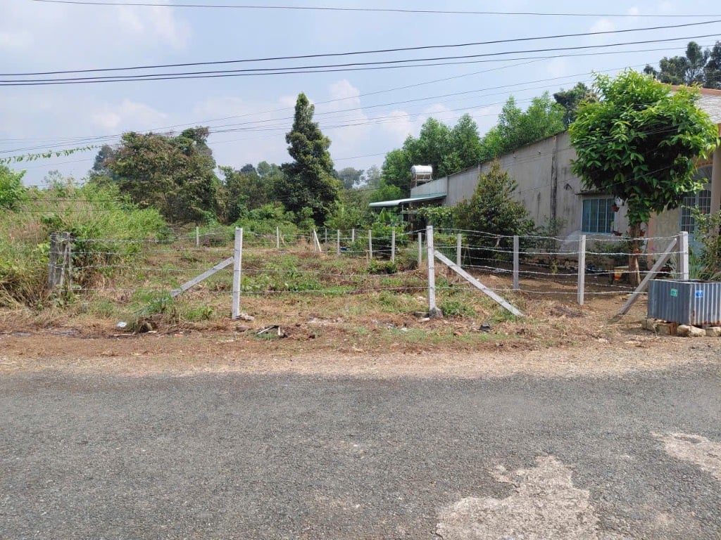 Bất động sản tại Bà Rịa - Vũng Tàu - ảnh 1