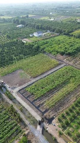 Bất động sản tại Long An - ảnh 3