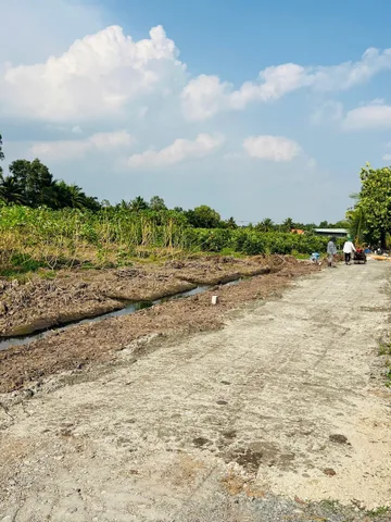 Bất động sản tại Long An - ảnh 4