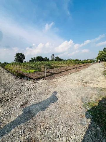 Bất động sản tại Long An - ảnh 5