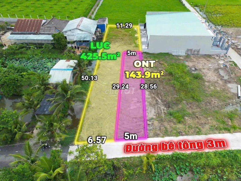 Bất động sản tại Long An - ảnh 1
