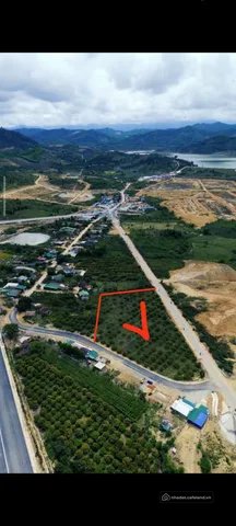 Bất động sản tại Đắk Lắk - ảnh 1