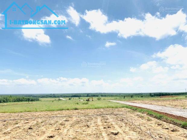 Bất động sản tại Bình Dương - ảnh 1