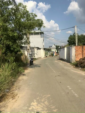 Bất động sản tại Bình Dương - ảnh 1