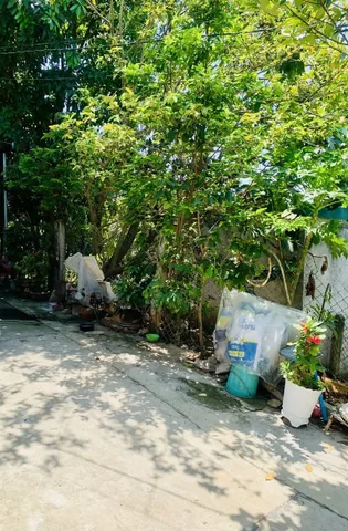 Bất động sản tại Khánh Hòa - ảnh 1