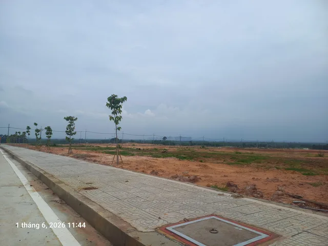Bất động sản tại Bình Dương - ảnh 1