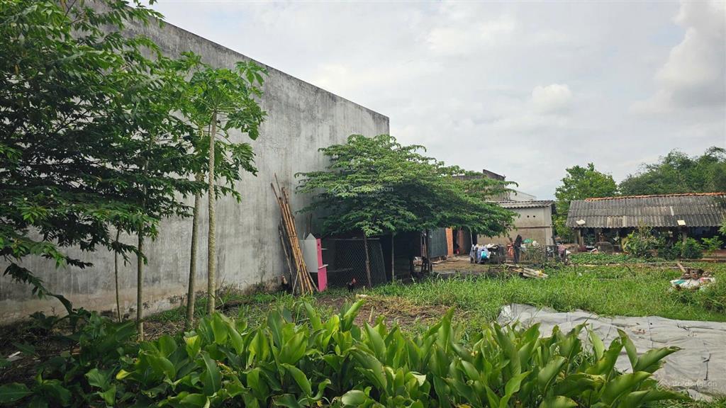 Bất động sản tại Long An - ảnh 1