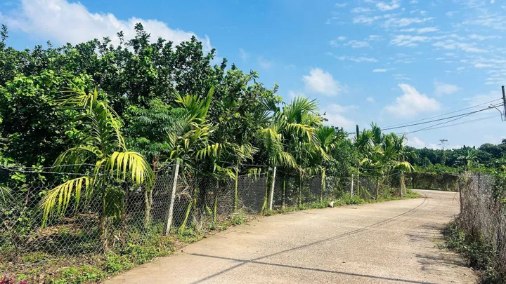 Bất động sản tại Bình Dương - ảnh 1