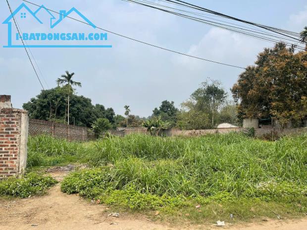 Bất động sản tại Phú Thọ - ảnh 1