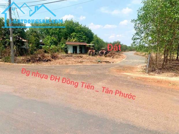 Bất động sản tại Bình Phước - ảnh 1