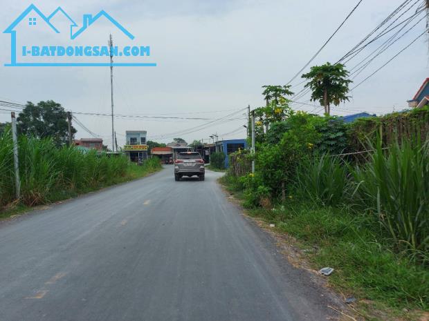 Bất động sản tại Long An - ảnh 1