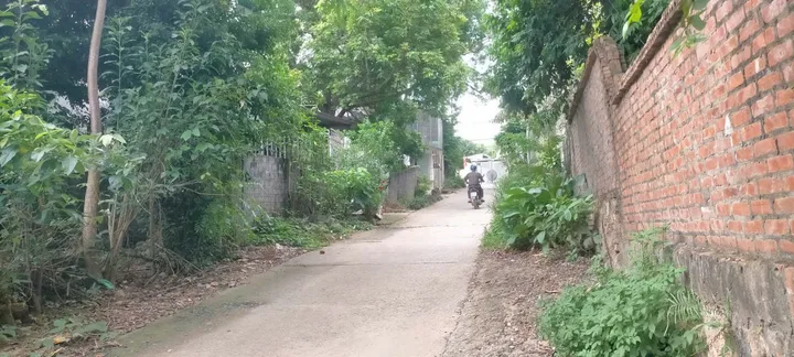 Bất động sản tại Phú Thọ - ảnh 1