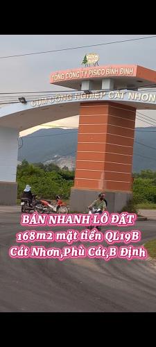 Bất động sản tại Bình Định - ảnh 1