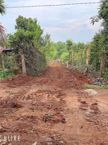 Bất động sản tại Đắk Lắk - ảnh 1
