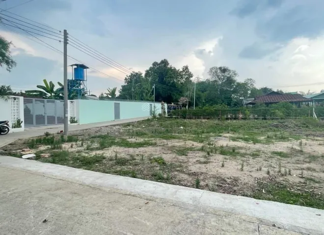 Bất động sản tại Bình Dương - ảnh 1