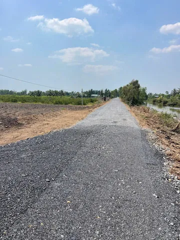 Bất động sản tại Long An - ảnh 1