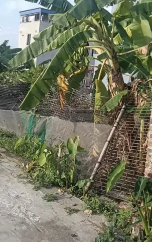 Bất động sản tại Hải Phòng - ảnh 1