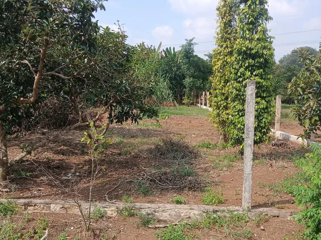 Bất động sản tại Bà Rịa - Vũng Tàu - ảnh 1