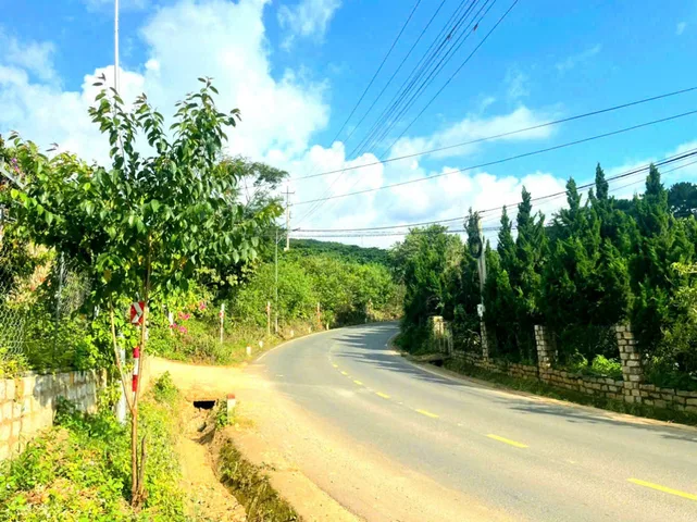 Bất động sản tại Lâm Đồng - ảnh 1