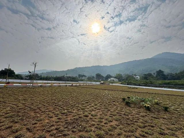 Bất động sản tại Phú Thọ - ảnh 1