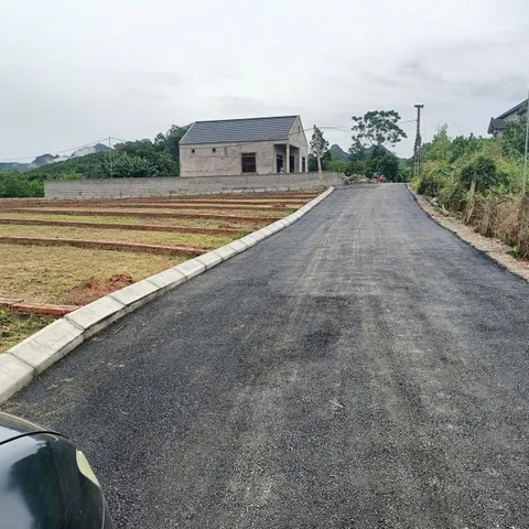 Bất động sản tại Phú Thọ - ảnh 1