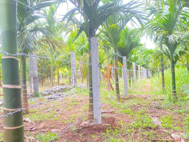 Bất động sản tại Đắk Lắk - ảnh 1