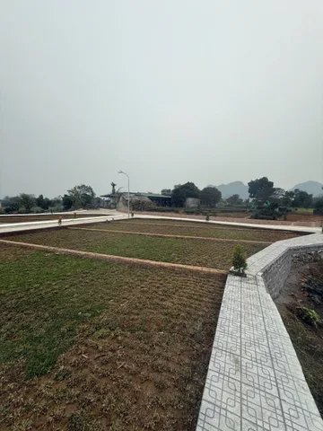 Bất động sản tại Phú Thọ - ảnh 1