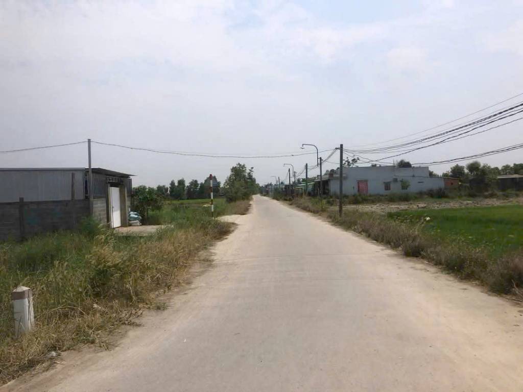Bất động sản tại Long An - ảnh 1