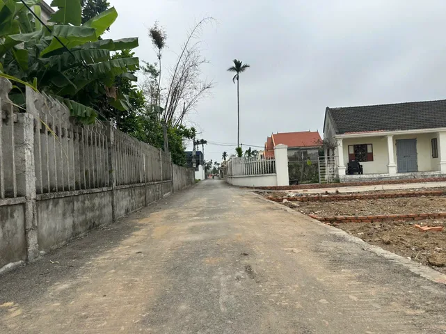 Bất động sản tại Hải Phòng - ảnh 1