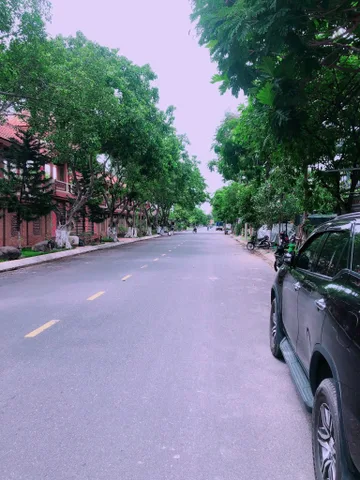 Bất động sản tại Đà Nẵng - ảnh 1