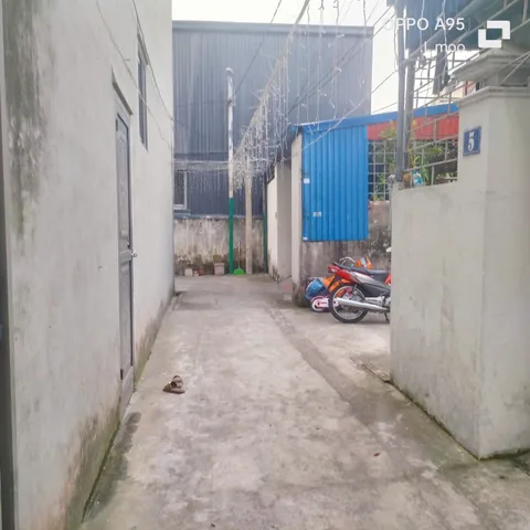 Bất động sản tại Hải Phòng - ảnh 1