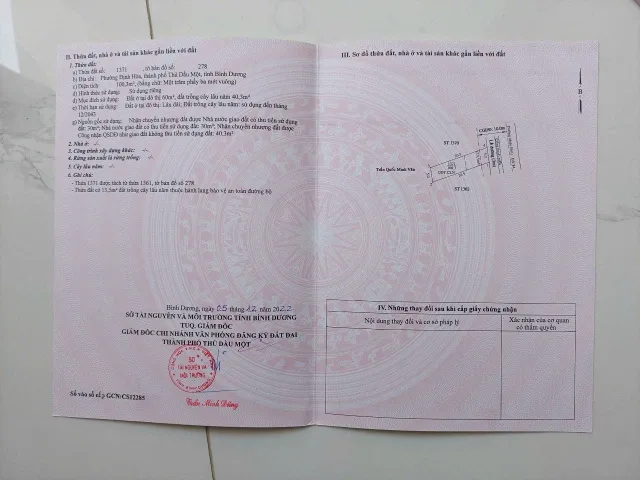 Bất động sản tại Bình Dương - ảnh 1
