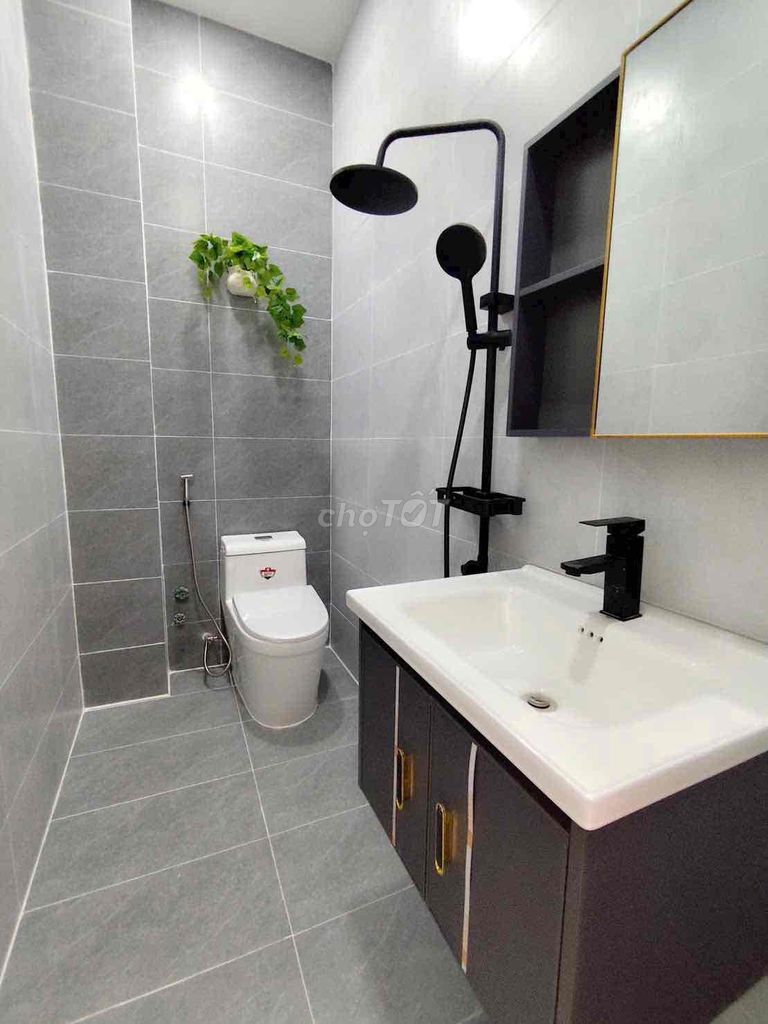 Nhà riêng tại Bình Tân, TP. Hồ Chí Minh - ảnh 2