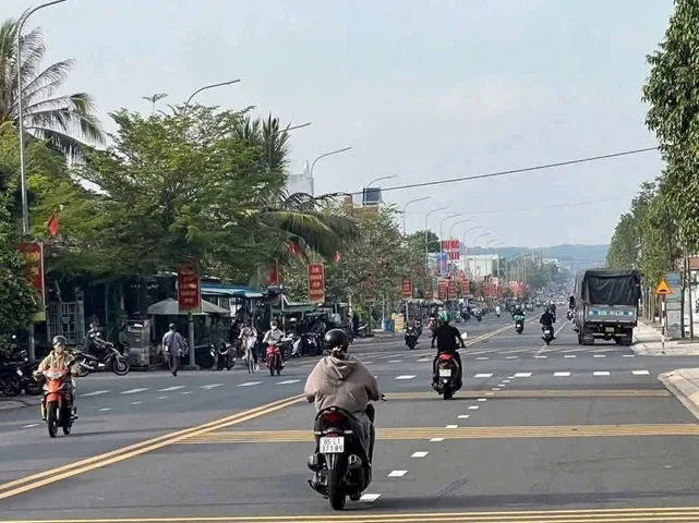 Bất động sản tại Bình Dương - ảnh 1