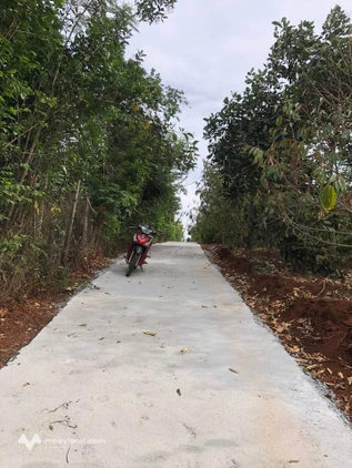 Bất động sản tại Đắk Lắk - ảnh 1