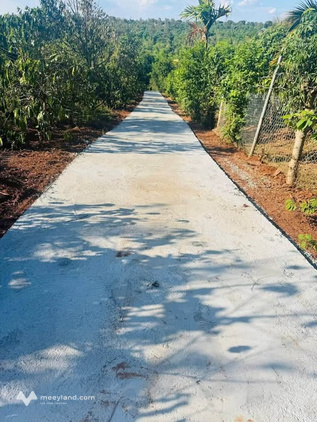 Bất động sản tại Đắk Lắk - ảnh 1
