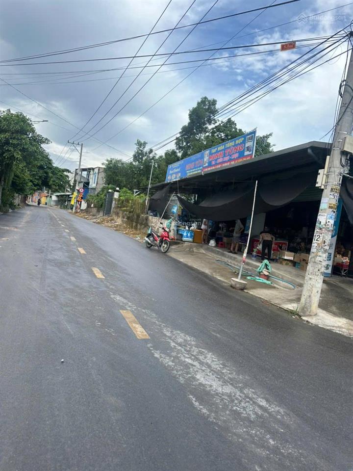 Bất động sản tại Bình Dương - ảnh 1
