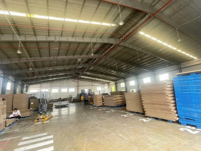 Bất động sản tại Bình Dương - ảnh 1