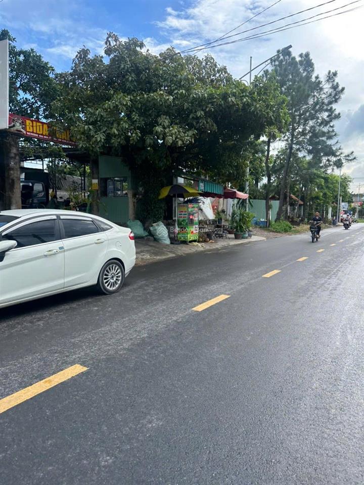 Bất động sản tại Bình Dương - ảnh 1