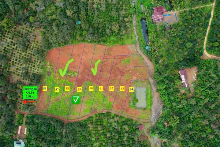 Bất động sản tại Lâm Đồng - ảnh 1