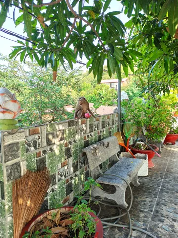 Bất động sản tại Hải Phòng - ảnh 1