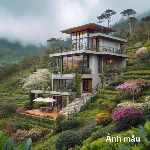 Bất động sản tại Đồng Nai - ảnh 1